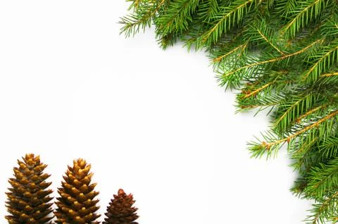 Christmas tree on a white background, tree and cones, toys, balls Stock Photos