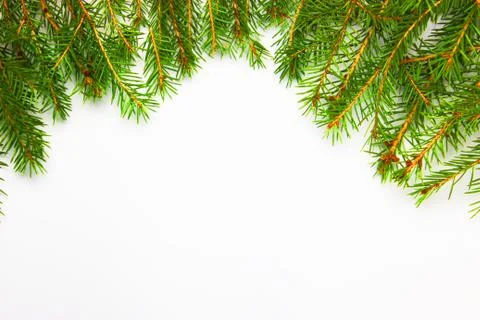Christmas tree on a white background, tree and cones, toys, balls Stock Photos