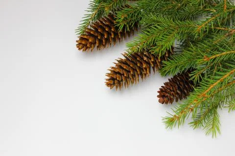 Christmas tree on a white background, tree and cones, toys, balls Stock Photos