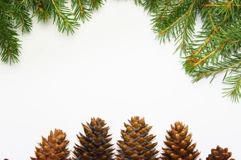Christmas tree on a white background, tree and cones, toys, balls Stock Photos