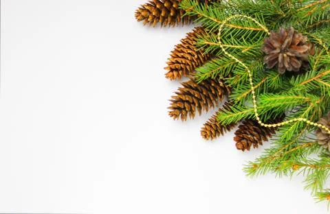 Christmas tree on a white background, tree and cones, toys, balls Stock Photos