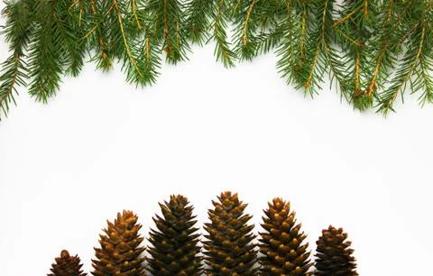 Christmas tree on a white background, tree and cones, toys, balls Stock Photos