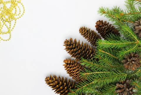 Christmas tree on a white background, tree and cones, toys, balls Stock Photos