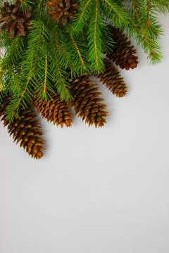 Christmas tree on a white background, tree and cones, toys, balls Stock Photos