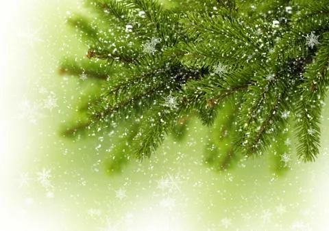 Christmas Tree in white background upper right Stock Photos