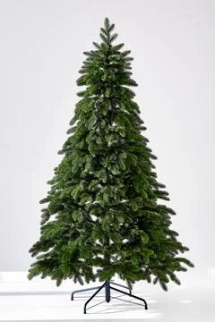 Christmas tree on a white background without decorations Stock Photos