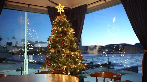 Christmas tree in window Stock Footage 120576714