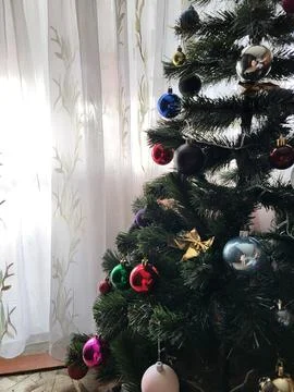 Christmas tree by the window Stock Photos
