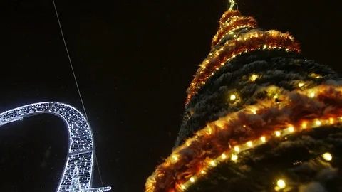 Christmas Tree in Winter Stock Footage 101435487