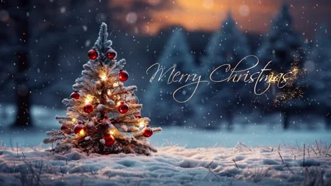 Christmas tree in the winter forest. Stock Footage 255685182