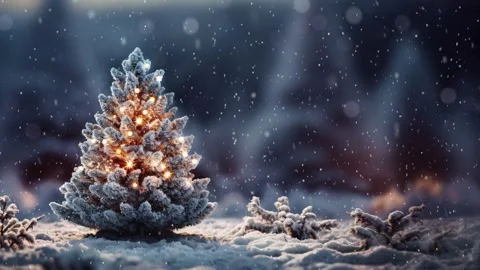 Christmas tree in the winter forest. Stock Footage 255897393