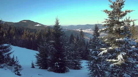 Christmas tree in winter mountains Stock-Footage 100516316
