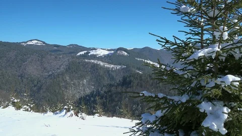 Christmas tree in winter mountains Stock Footage 101304144