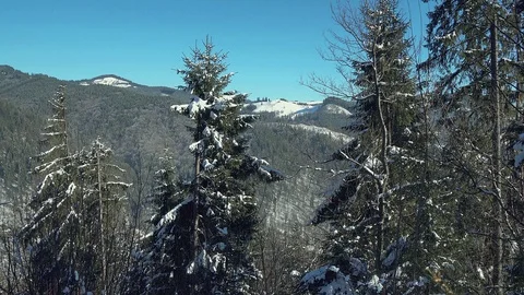 Christmas tree in winter mountains Video stock 104007478