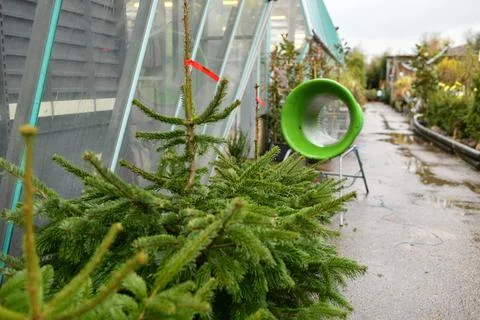 Christmas tree wrapping device Packed in a plastic net Stock Photos