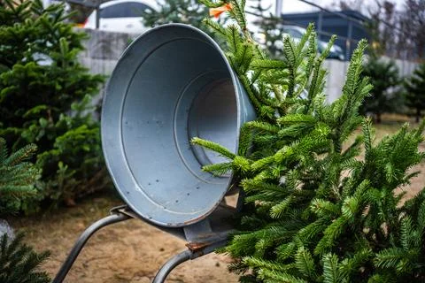 Christmas Tree Wrapping Machine Stock Photos