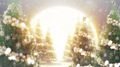 Christmas tree zoom loop Stock Footage 256734956