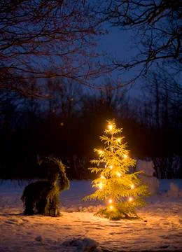 Christmas tree.jh Stock Photos