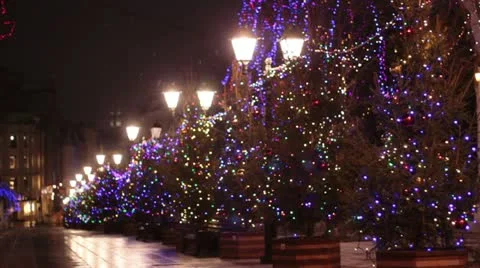 Christmas trees and lights Stock Footage 20587198