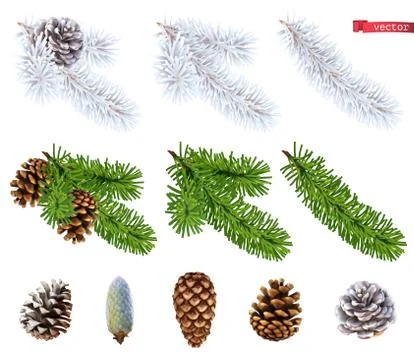 Christmas trees and pine cones. 3d realistic vector icon set Stock Illustration