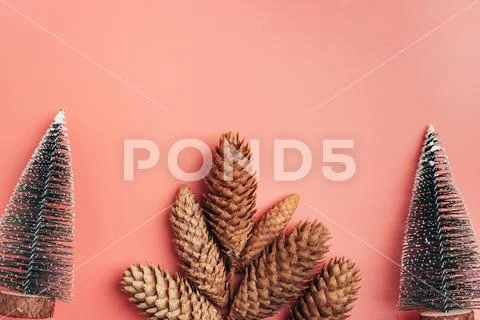 Christmas trees and pine cones border on pink background copy space border Stock Photos