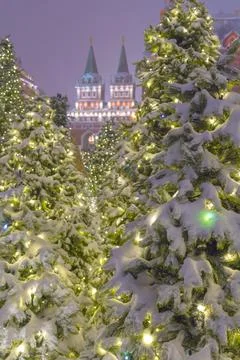 Christmas trees covered with snow on red square in Moscow Stock Photos