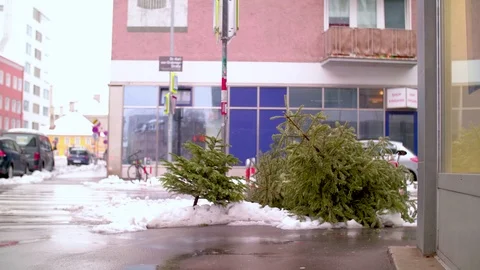 Christmas Trees Dumped in the Street Stock Footage 100788150