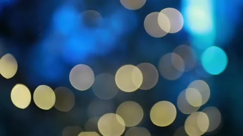 Christmas trees Video stock 20619420