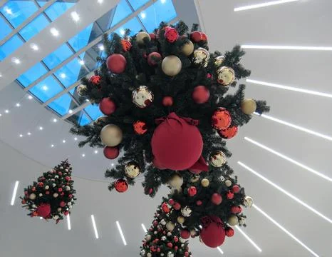 Christmas trees hanging from the ceiling as creative decoration Stock Photos