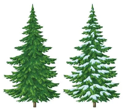 Christmas trees Stock Illustration