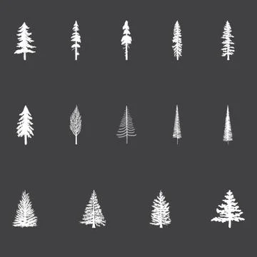 Christmas Trees Stock Illustration