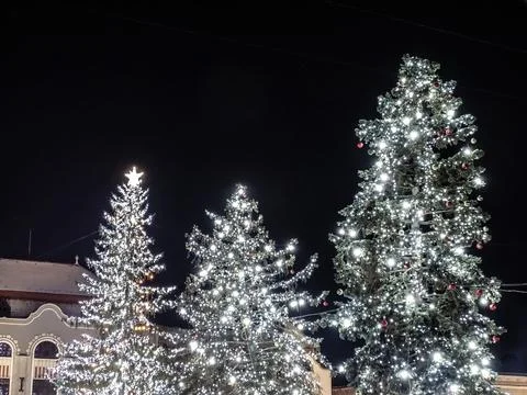 Christmas trees with lights in Baia Mare city, Romania Stockfoto's