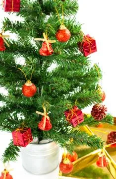 Christmas trees Stock Photos