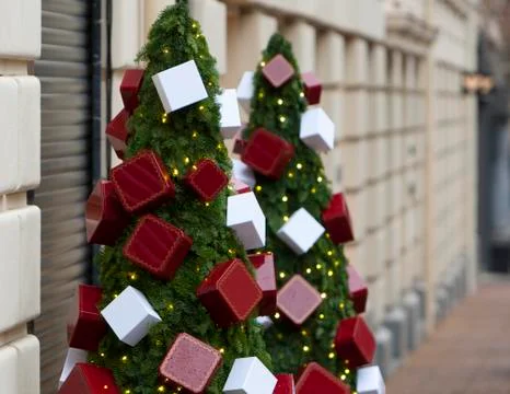 Christmas trees Stock Photos