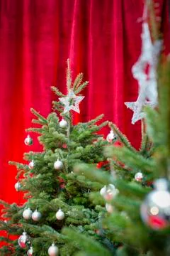 Christmas trees 스톡 사진