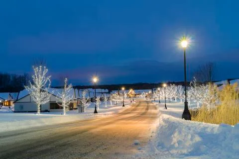 Christmas Trees Stock Photos