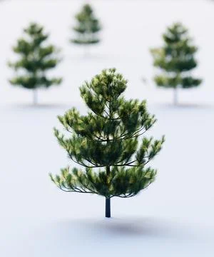 Christmas trees in the snow Stock Illustration