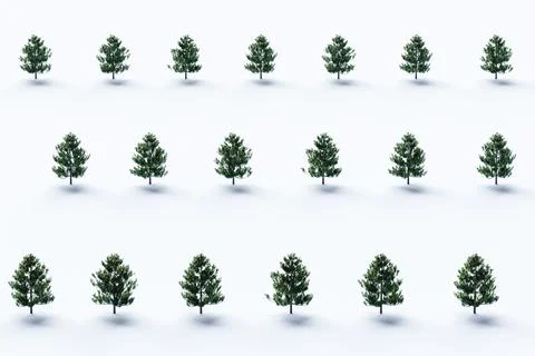 Christmas trees in the snow 스톡 일러스트