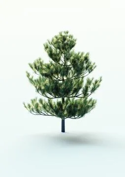 Christmas trees in the snow Stock Illustration