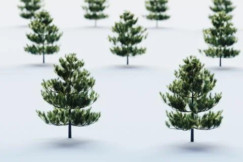 Christmas trees in the snow Stock Illustration