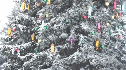 Christmas trees in snowdrift 4 Video stock 37118474