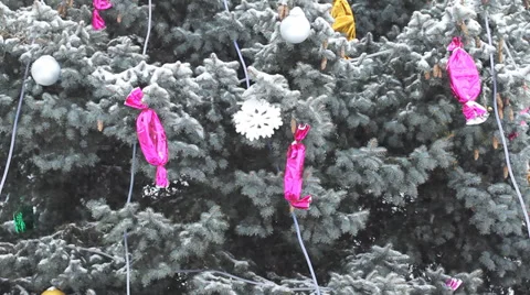 Christmas trees in snowdrift 5 Stock-Footage 37118460