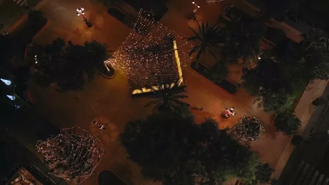 Christmas trees standing on the main square decorated and illuminated. Stock Footage 230912968