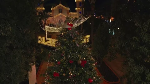 Christmas trees standing on the main square decorated and illuminated. Stock Footage 230913855