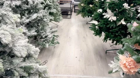 Christmas trees in the store Stock Footage 256841570