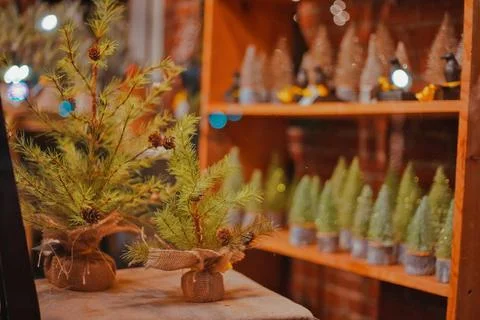 Christmas Trees Through A Window Store FrontDuring At Night In Dover NH Stock Photos