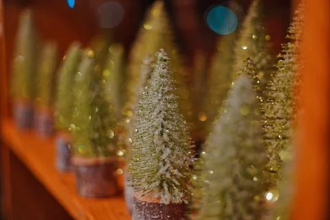 Christmas Trees Through A Window Store Front During At Night In Dover NH Foto stock