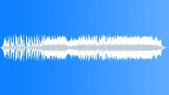 Christmas Tunes Stock Music