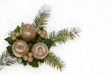 Christmas twig Stock Photos