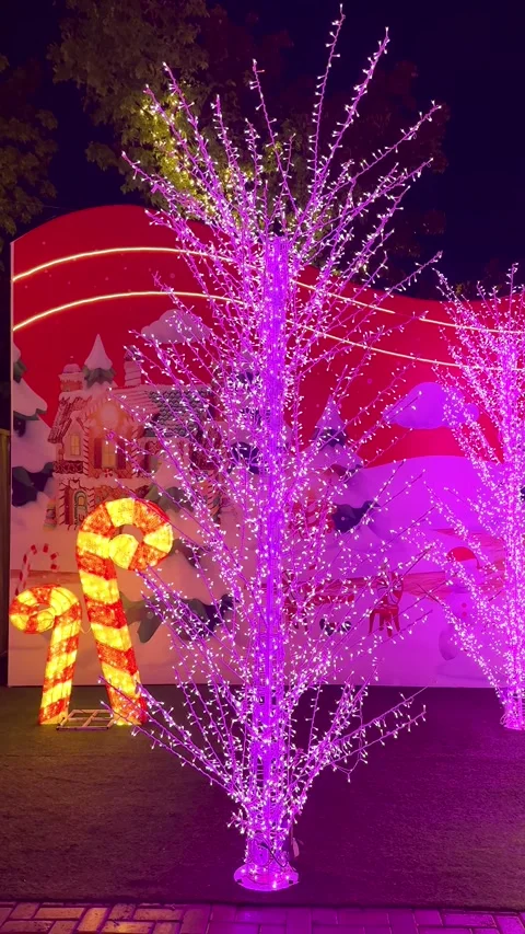 Christmas twig tree with interactive LED icicle lights in rgb multi color. Vídeos de archivo 295514112